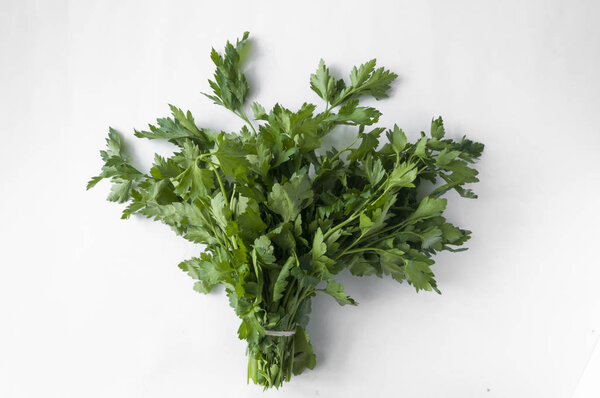 Кучка петрушки на белом фоне. Вид сверху. Бесплатный спак
