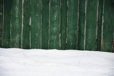 Karların altında eski yeşil çitler