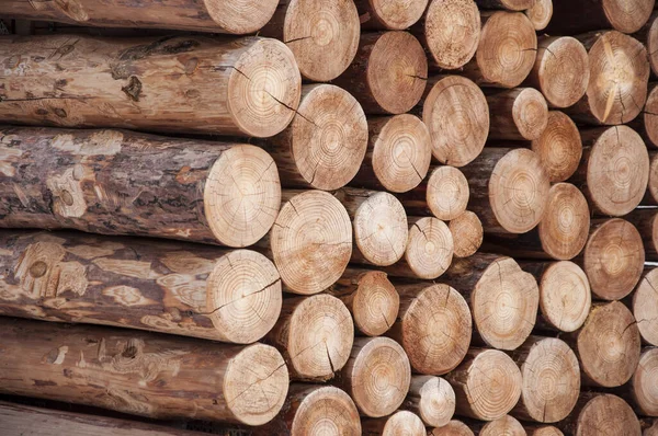Pilha de armazenamento de toras de madeira para a indústria — Fotografia de Stock