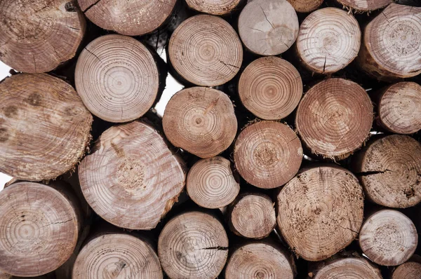 Куча хранилищ древесины для промышленности — стоковое фото