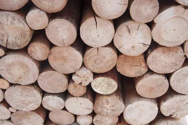 Pilha de armazenamento de toras de madeira para a indústria — Fotografia de Stock