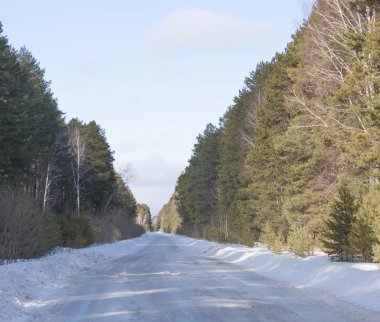 Kış ormanlarında karla kaplı yollar.