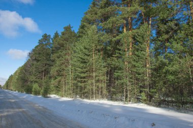 Kış ormanlarında karla kaplı yollar.
