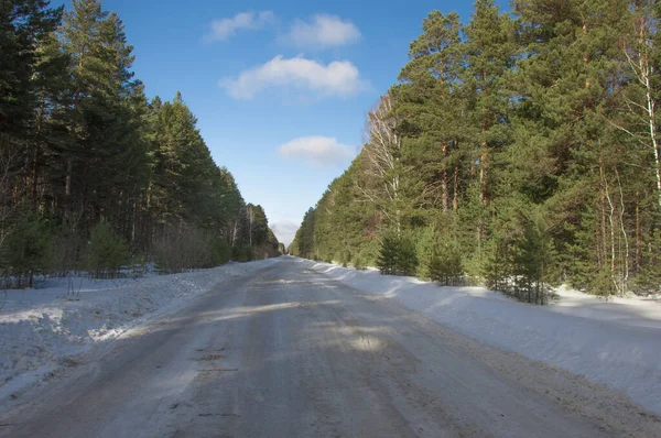 冬天森林里被雪覆盖的道路 — 图库照片