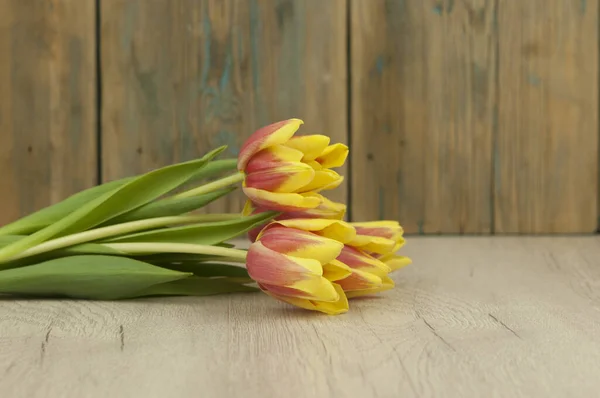 Bouquet Tulipes Colorées Sur Fond Bois Blanc Avec Espace Copie — Photo