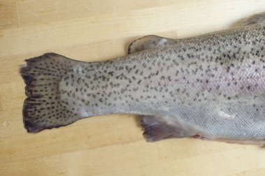 Taze gökkuşağı alabalığı. Ahşap zemin üzerinde nehir balığı