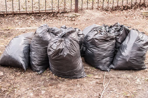 Vuilnis Zwarte Plastic Zakken Straten Schoonmaken — Stockfoto