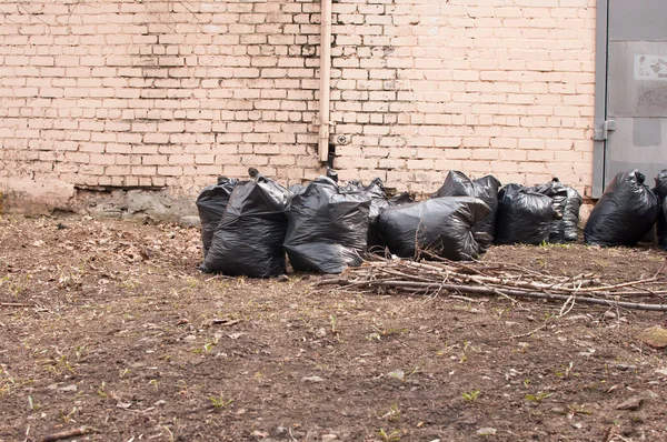 用黑色塑料袋装垃圾 清扫街道 — 图库照片