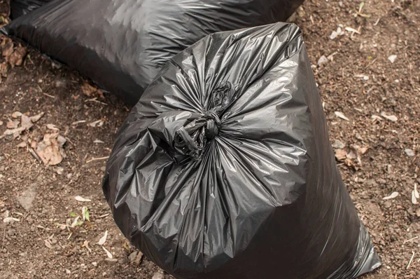 Garbage Black Plastic Bags Cleaning Streets — Stock Photo, Image