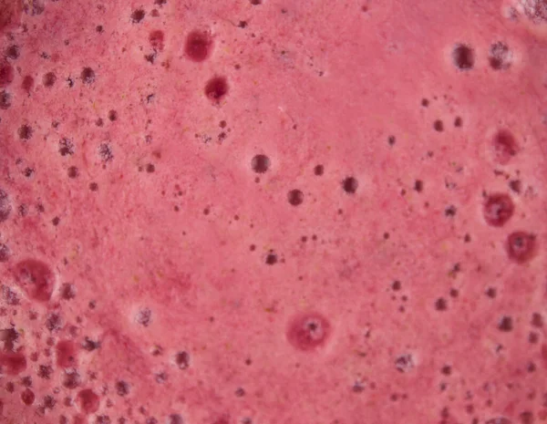 Bir Bardak Taze Buzlu Meyve Suyu — Stok fotoğraf