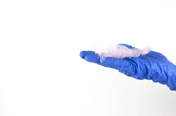 手放在蓝色的一次性手套里 在白墙的背景上放着粉红的桦树羽毛 复制空间 — 图库照片