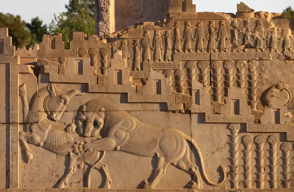 Dombornyomott dombormű közötti oroszlán és a bika harci faragott lépcsőház a Persepolis Shiraz — Stock Fotó