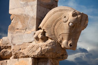 Antik Ahameniş boğa heykeli Shiraz Persepolis bir sütun sermaye olarak
