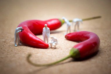 Kırmızı biber teftiş criminalists ekibi