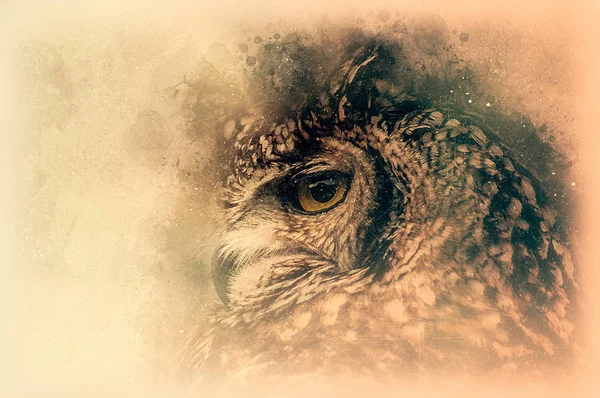 Bengal Eagle Owl Sketch Digital Illustration — Stock Photo, Image
