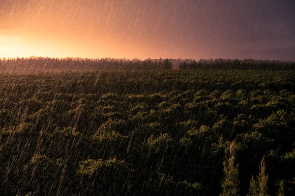 Дождь над оранжевыми полями на закате — стоковое фото