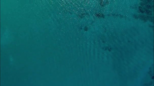 ターコイズブルーの海の中のヨット オーバーヘッドビュー — ストック動画