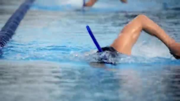 Atletas Não Reconhecidos Nadando Uma Piscina — Vídeo de Stock