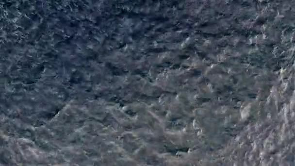 Gros plan d'une cage pour la pisciculture 