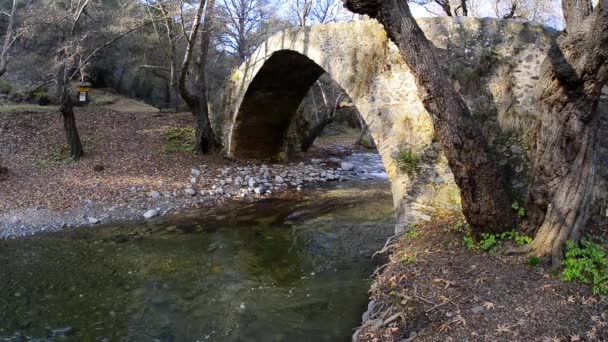 Pohled Most Tzelefos Paphos Forest Kypr — Stock video