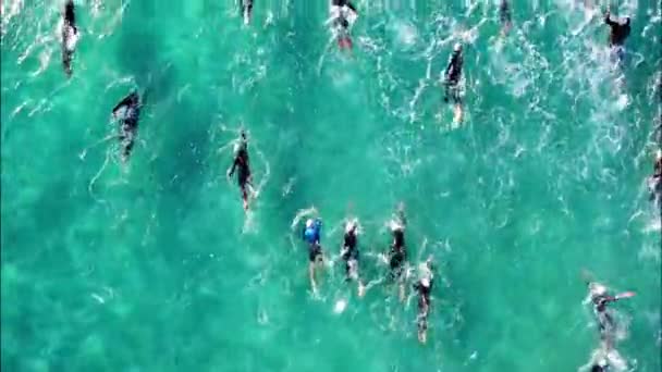 Ayia Napa Chipre Março 2019 Nadadores Profissionais Triatlo Mar Mediterrâneo — Vídeo de Stock