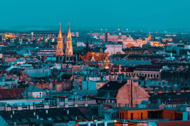 Budapeşte şehri ve geceleri St. Elisabeth Kilisesi 'nin kuleleri. Macaristan. Mavi saat fotoğrafı