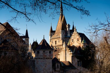 Vajdahunyad Kalesi göl kıyısından görüldü. Budapeşte, Macaristan