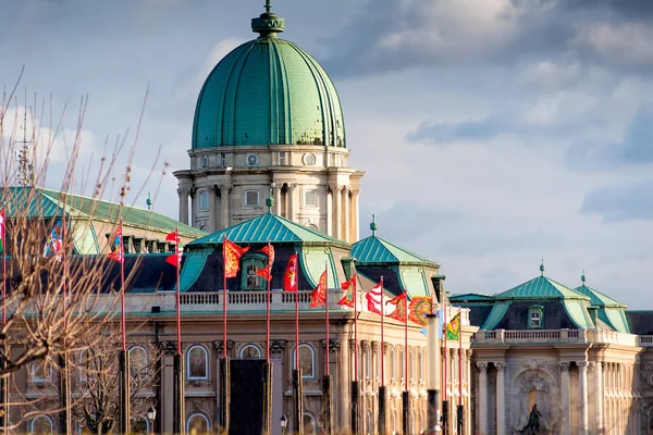 Vlaggenmasten Met Heraldische Vlaggen Bij Koninklijk Paleis Budapest Hongarije — Stockfoto