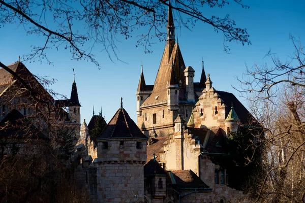 Vajdahunyad Kalesi göl kıyısından görüldü. Budapeşte, Macaristan