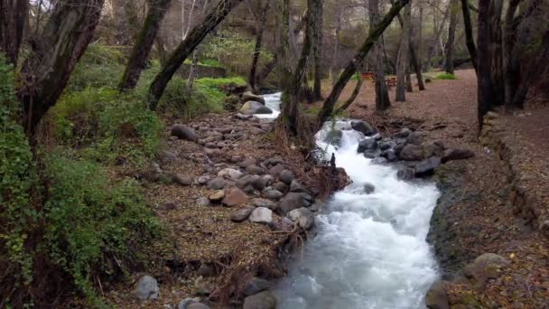 Vista Del Río Klarios Aldea Kakopetria Distrito Nicosia Chipre — Vídeo de stock