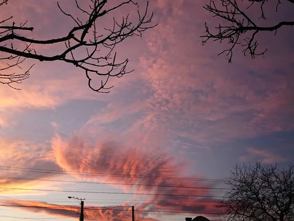 Céu Inverno Como Uma Paleta Cores — Fotografia de Stock