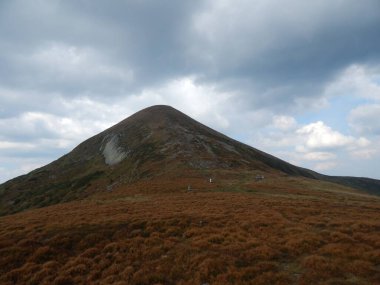 Karpat Dağları 'nın (Ukrayna) vahşi yaşam fotoğrafları)