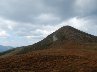 Karpat Dağları 'nın (Ukrayna) vahşi yaşam fotoğrafları)