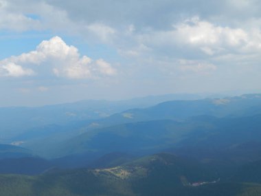 Karpat Dağları 'nın (Ukrayna) vahşi yaşam fotoğrafları)