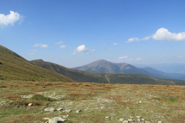 Karpat Dağları 'nın (Ukrayna) vahşi yaşam fotoğrafları)
