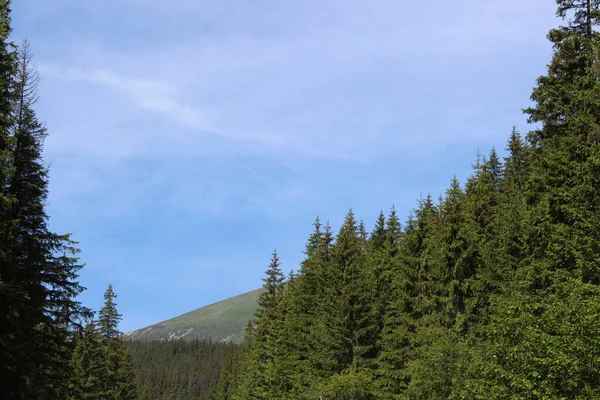 Foto Podróże Karpaty Ukraina — Zdjęcie stockowe