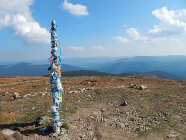 Karpat Dağları 'nın (Ukrayna) vahşi yaşam fotoğrafları)