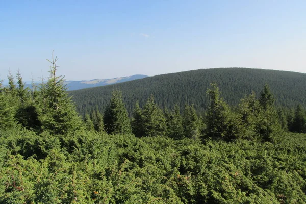 Foto Podróże Karpaty Ukraina — Zdjęcie stockowe