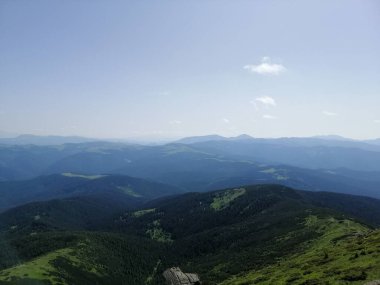 Karpat Dağları 'nın (Ukrayna) vahşi yaşam fotoğrafları)