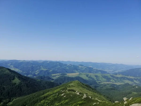 Wildlife Photos Carpathian Mountains Ukraine — Stock Photo, Image