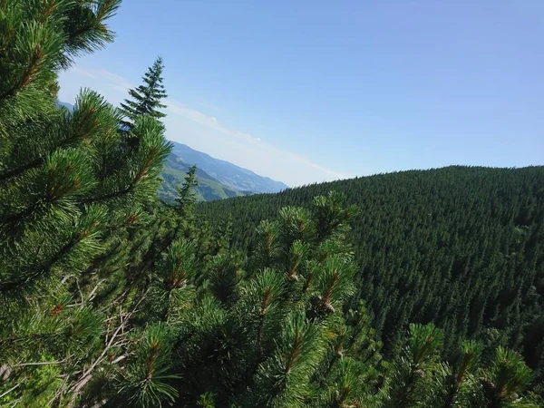 Foto Podróże Karpaty Ukraina — Zdjęcie stockowe