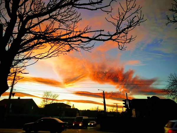 Céu Inverno Como Uma Paleta Cores — Fotografia de Stock