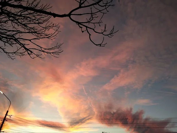 Cielo Invierno Como Una Paleta Colores — Foto de Stock