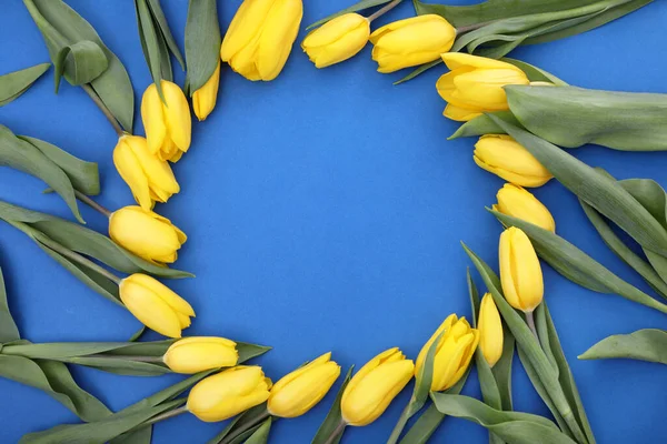 Round flower frame . Yellow tulips with green leaves lie in a circle on a blue background . copy space.
