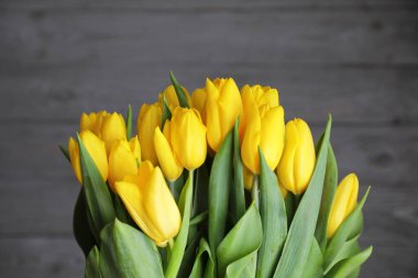 Sarı lale buketi. Gri odunsu arka planda parlak taze çiçekler .
