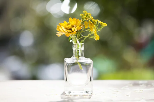 Flores de naranja en un jarrón — Foto de Stock