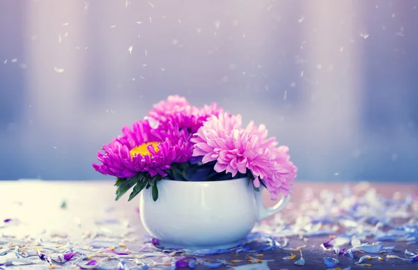 Flores rosadas de aster en un jarrón — Foto de Stock