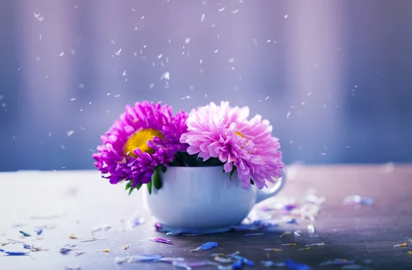 Bir vazoda pembe aster çiçekler — Stok fotoğraf