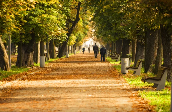 Autumn in the park — Stock Photo, Image