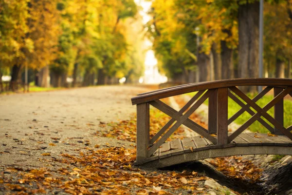 Bridge in the autumn park — Stock Photo, Image